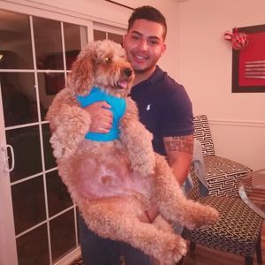 Meet your Posher, Alex